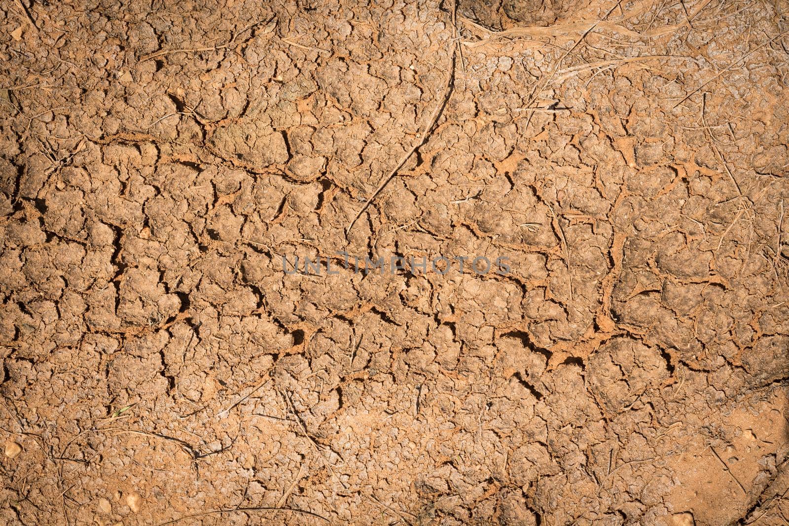 Crack soil dry season on sand background.