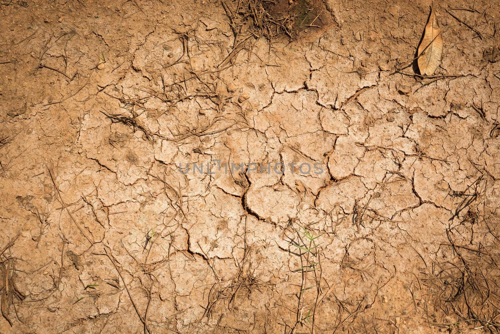 Crack soil dry season on sand background.