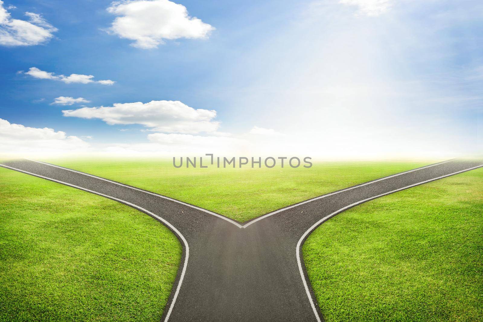 Businessman concept,  road and green grass to the correct way. by jayzynism