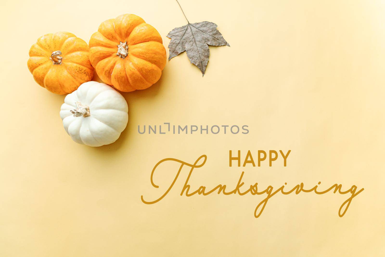 Happy Thanksgiving Day with pumpkin, maple leaf and nut