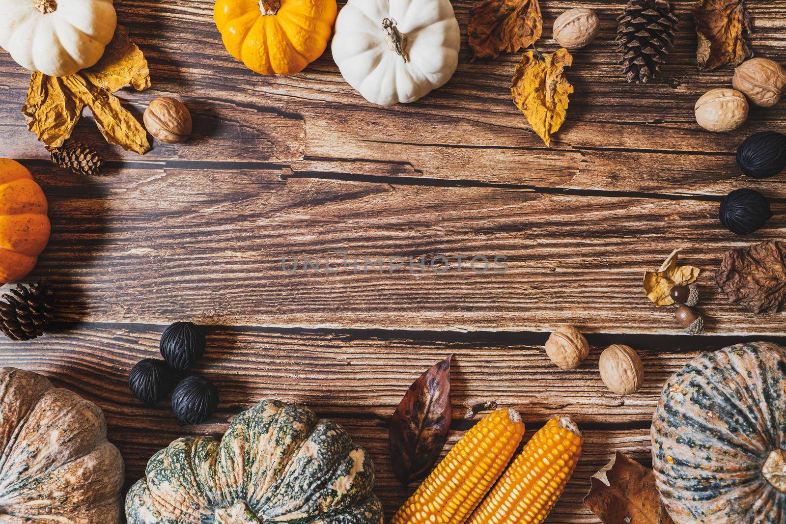 Happy Thanksgiving Day with pumpkin and nut on wooden table