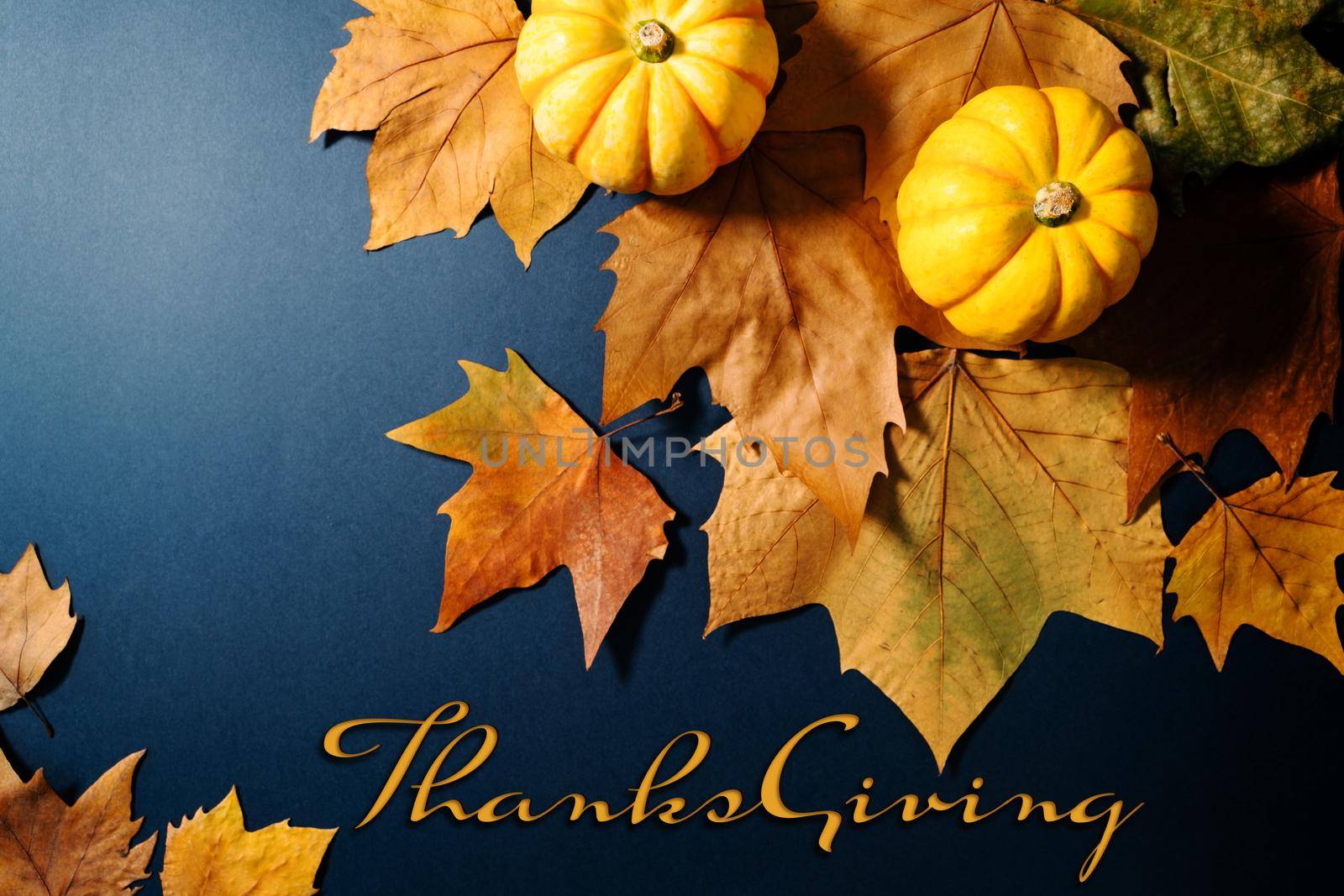 Happy Thanksgiving Day with maple leaves and pumpkin on blue background