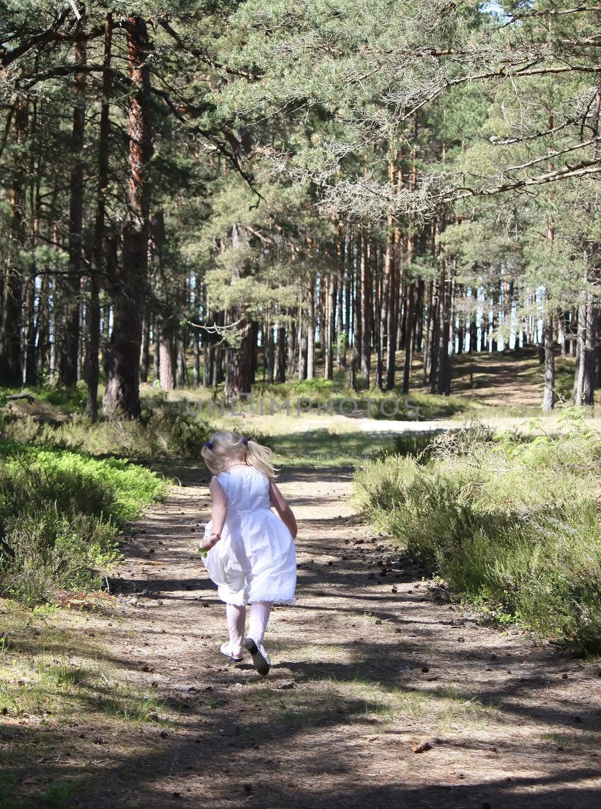 Little girl running in sunlight in the autumn park