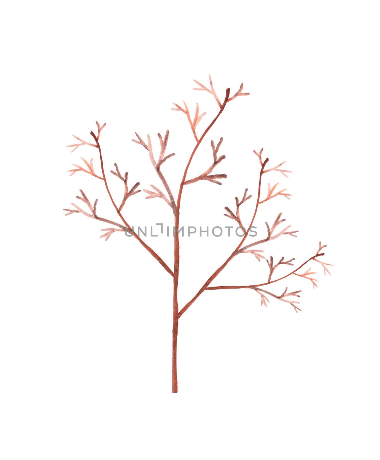 Watercolor hand painted tree branch