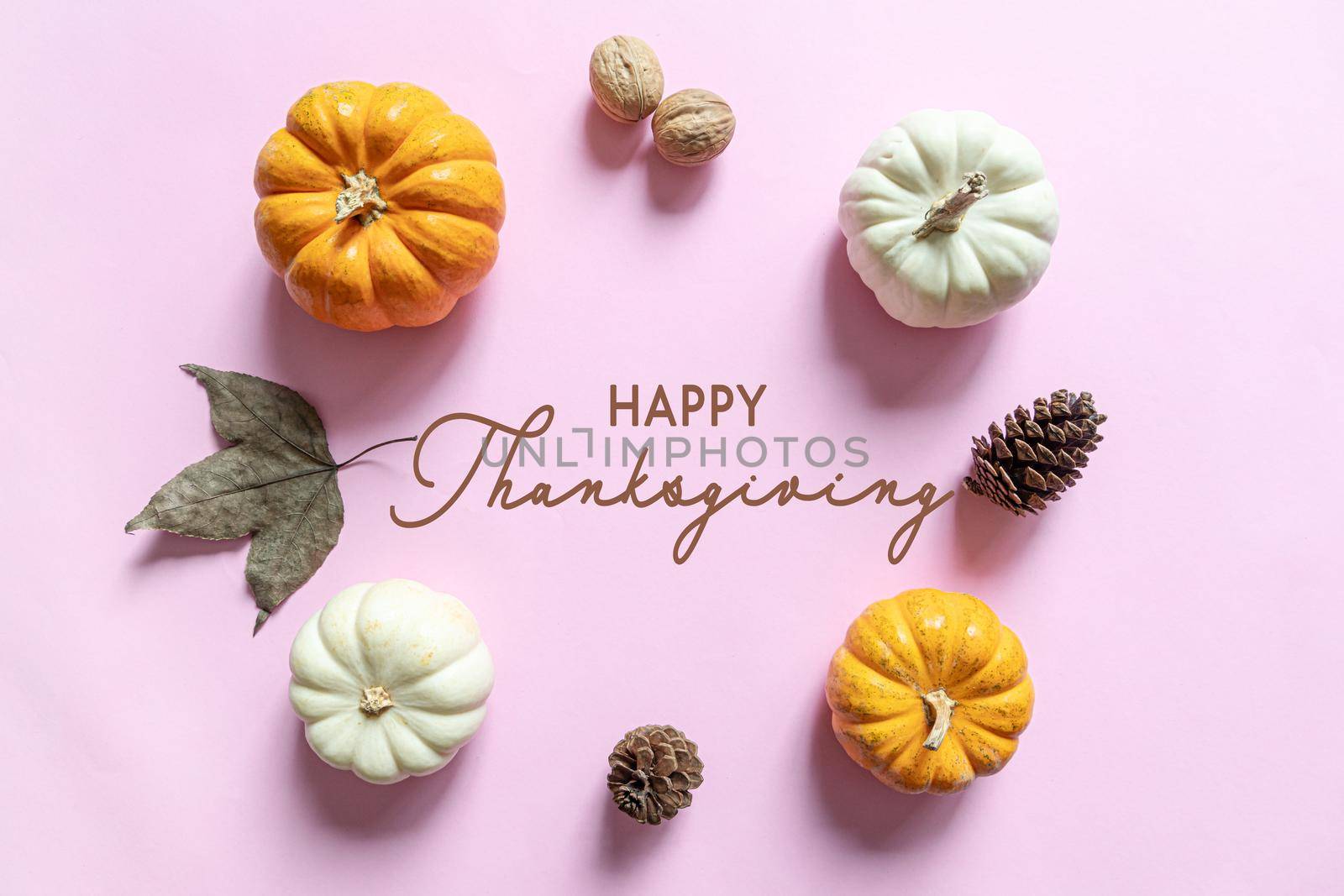 Happy Thanksgiving Day with pumpkin, maple leaf and nut