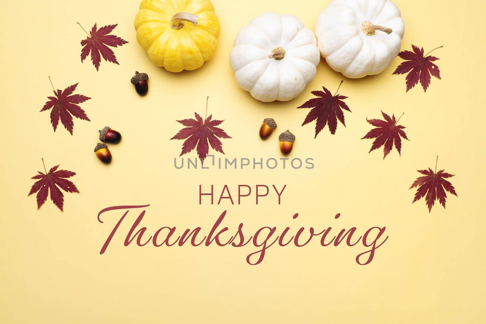 Happy Thanksgiving Day with pumpkin and nut on yellow background