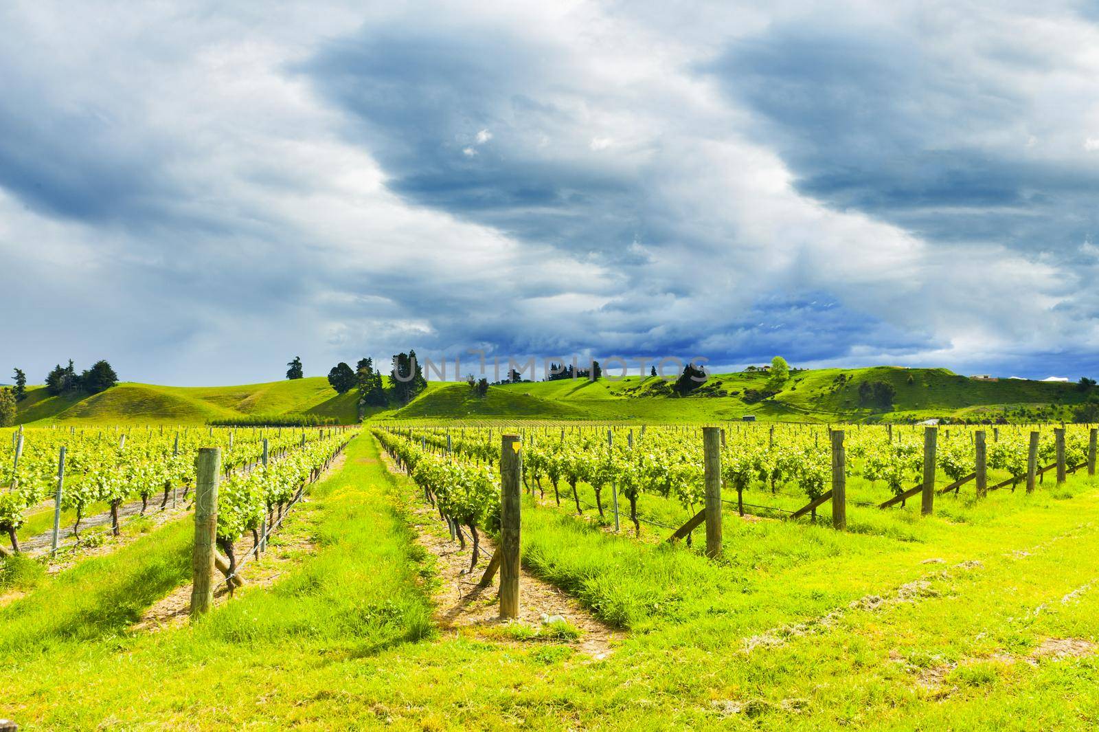 Photo of winery from South Island of New Zealand