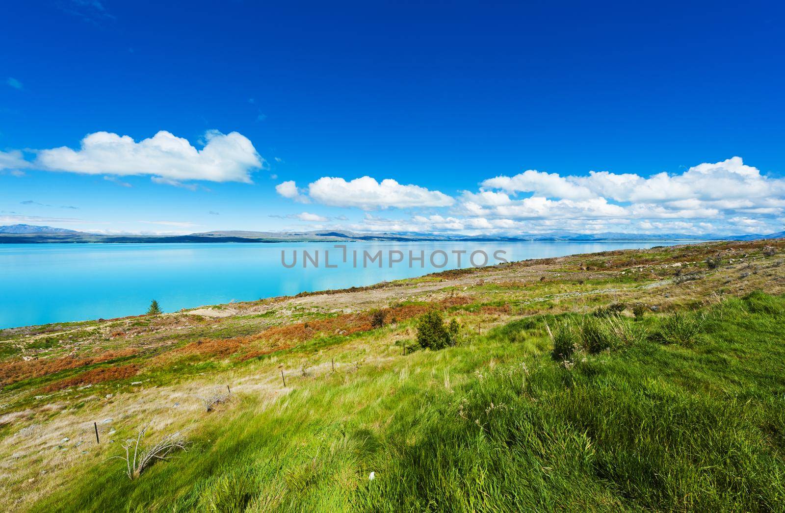 Beautiful incredibly blue lake Pukaki at New Zealand