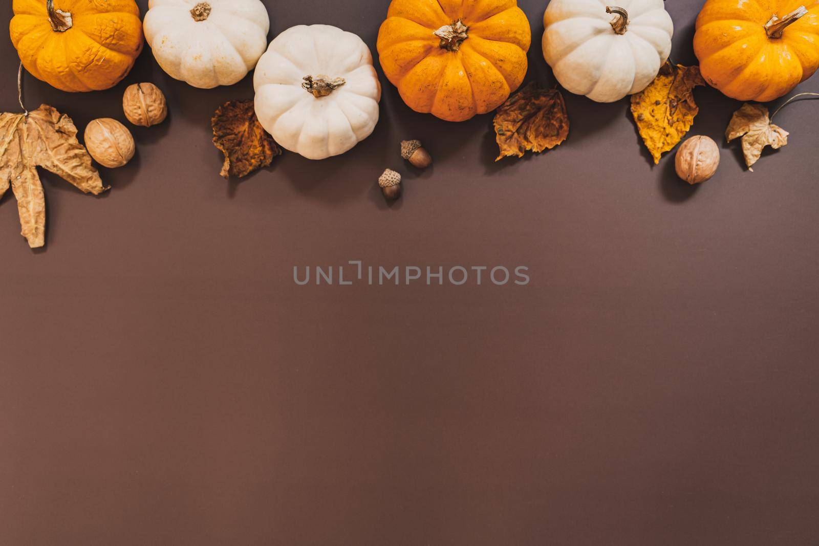 Happy Thanksgiving Day with pumpkin and nut on the table