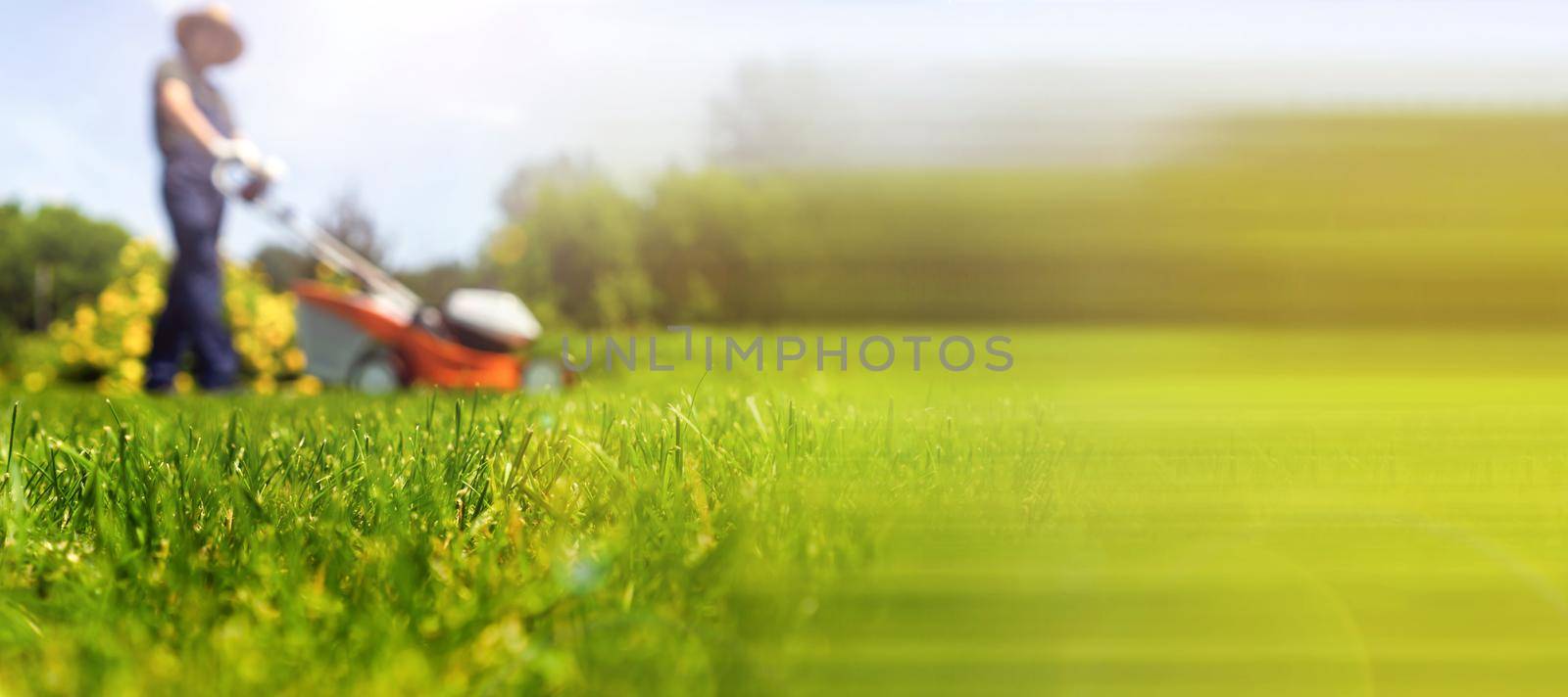 A professional gardener with a lawnmower cares for the grass in the backyard. by africapink