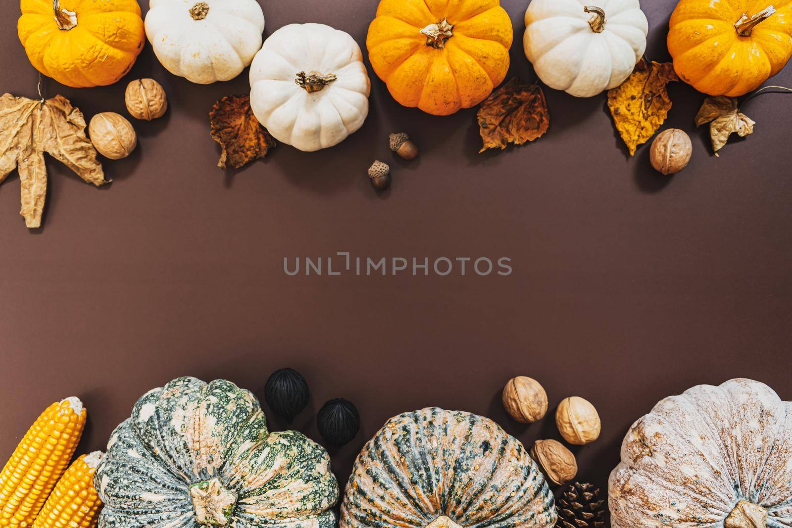 Happy Thanksgiving Day with pumpkin and nut on the table