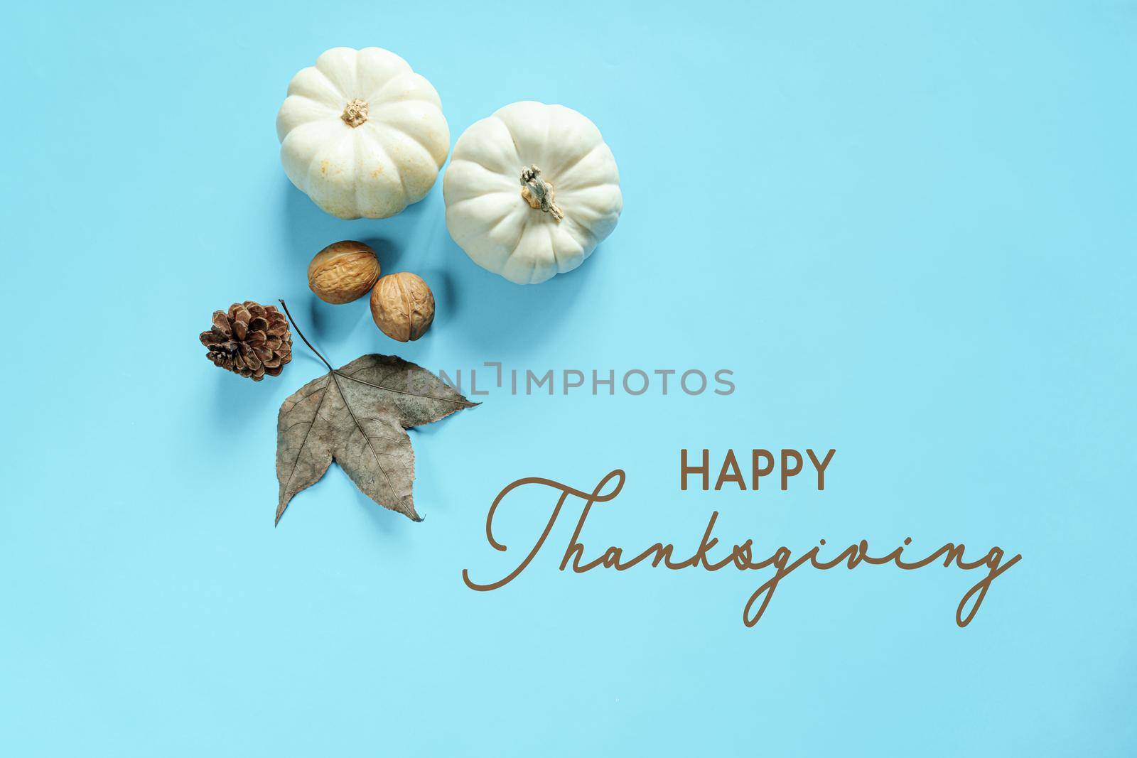 Happy Thanksgiving Day with pumpkin, maple leaf and nut