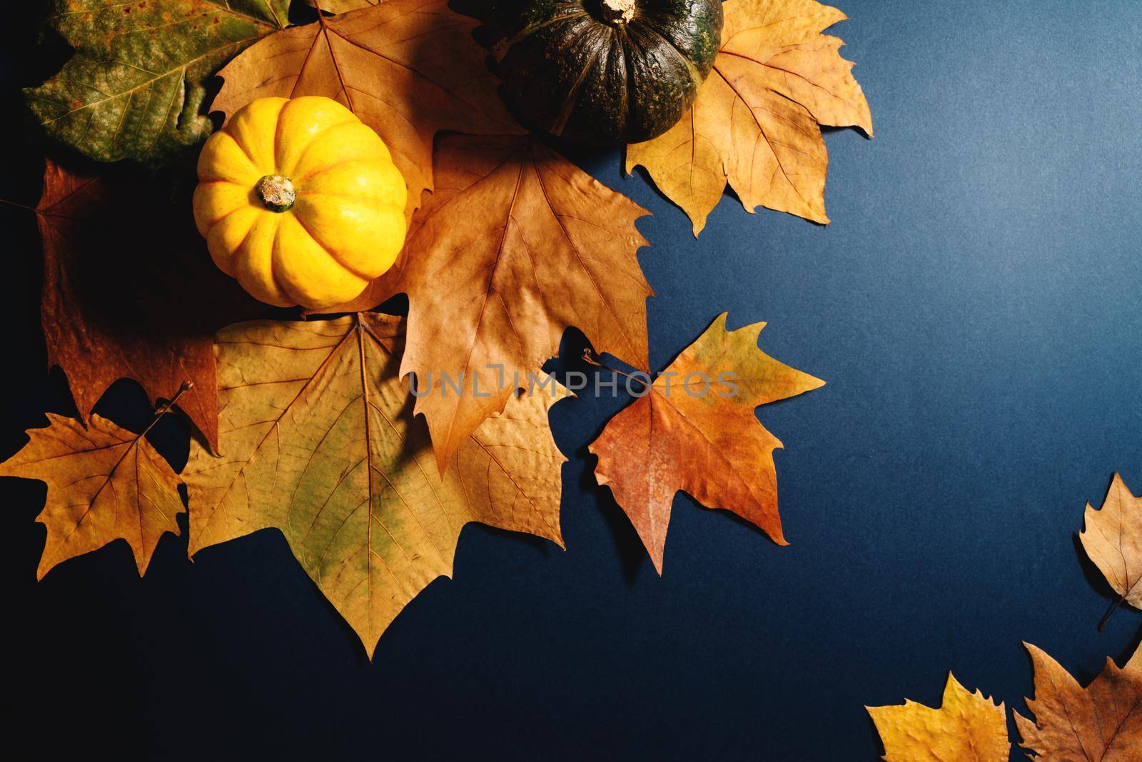 Happy Thanksgiving Day with maple leaves and pumpkin on blue background