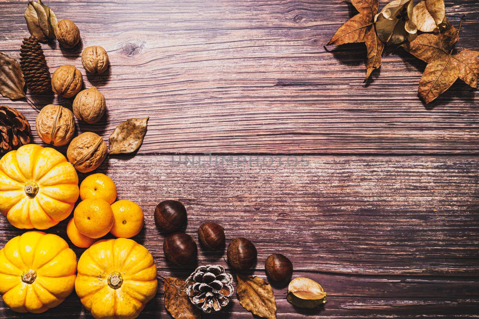 Happy Thanksgiving Day with pumpkin and nut on wooden table