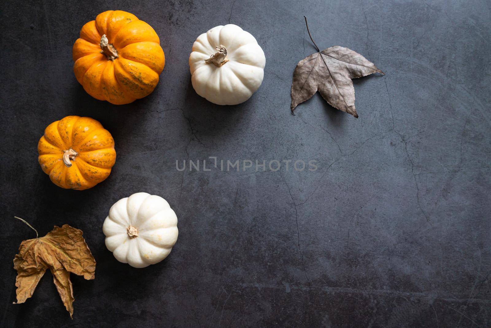 Happy Thanksgiving Day with pumpkin, maple leaf and nut by psodaz