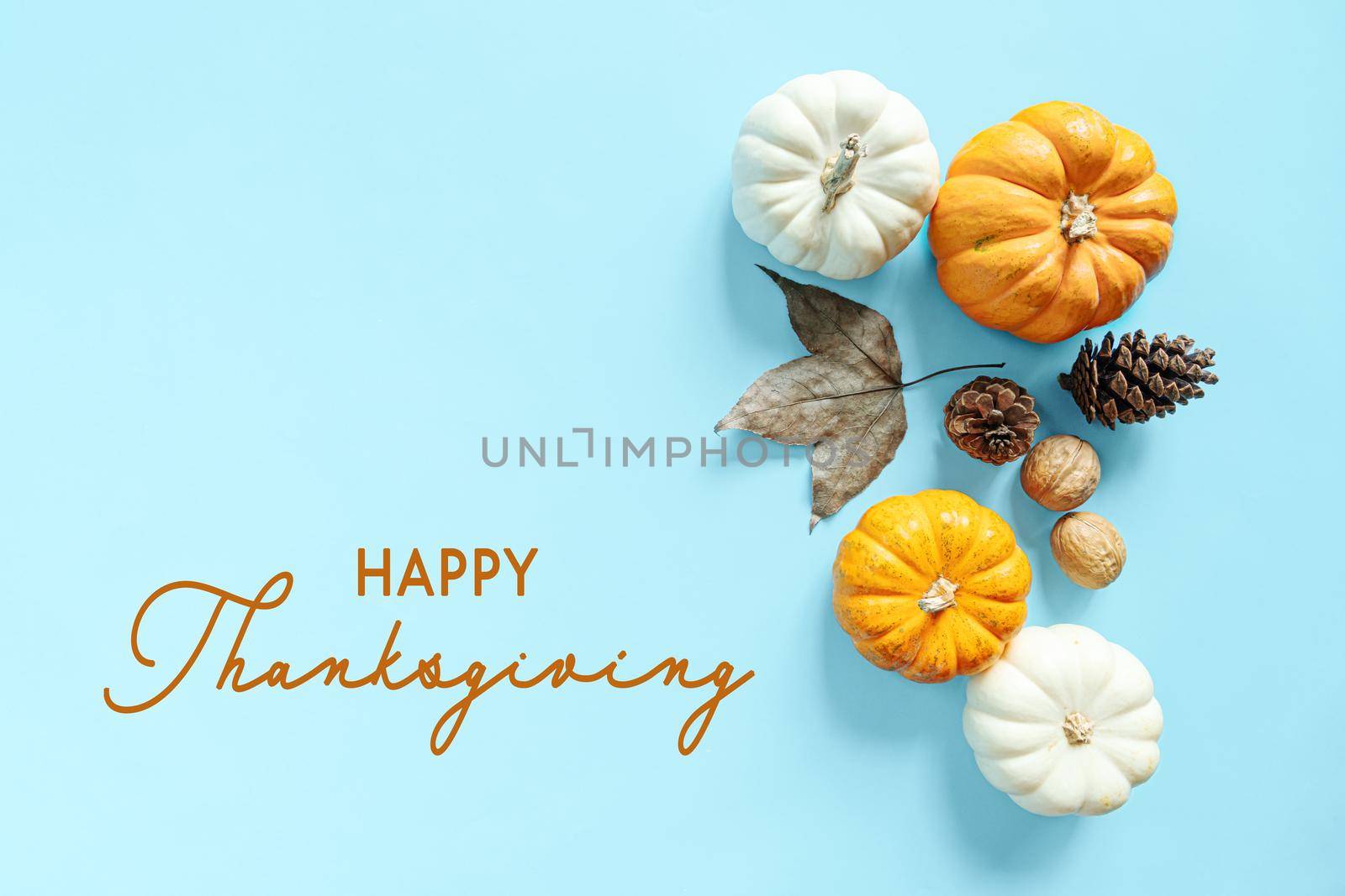 Happy Thanksgiving Day with pumpkin, maple leaf and nut by psodaz