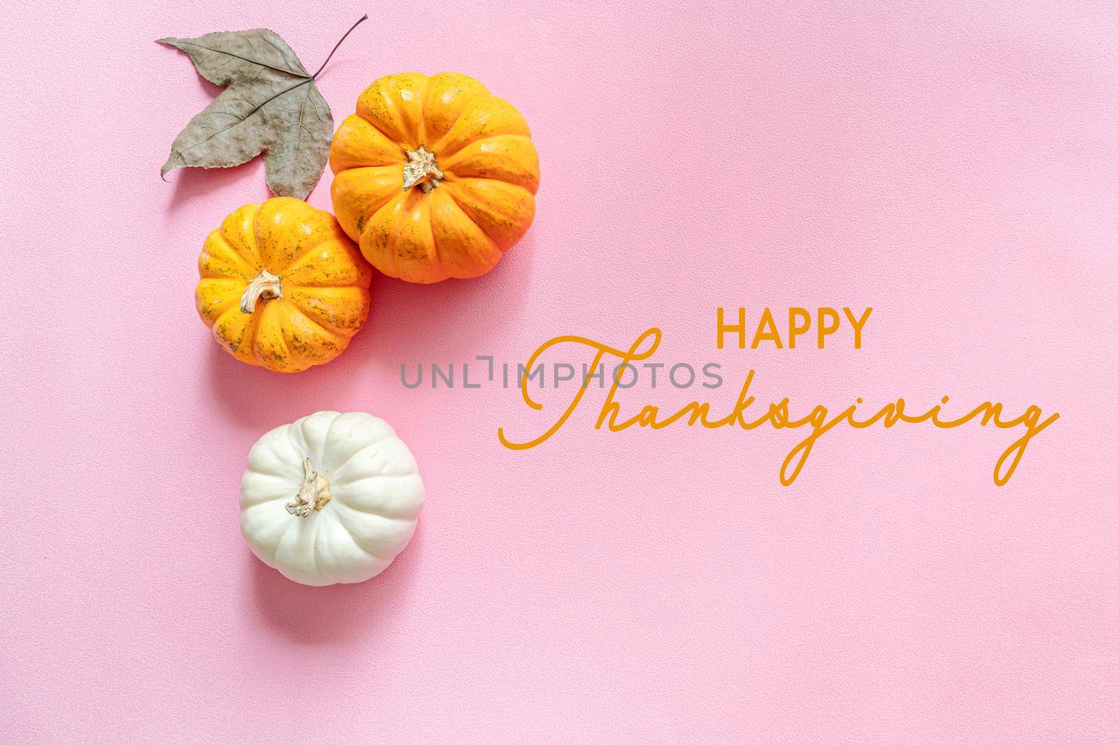 Happy Thanksgiving Day with pumpkin, maple leaf and nut by psodaz