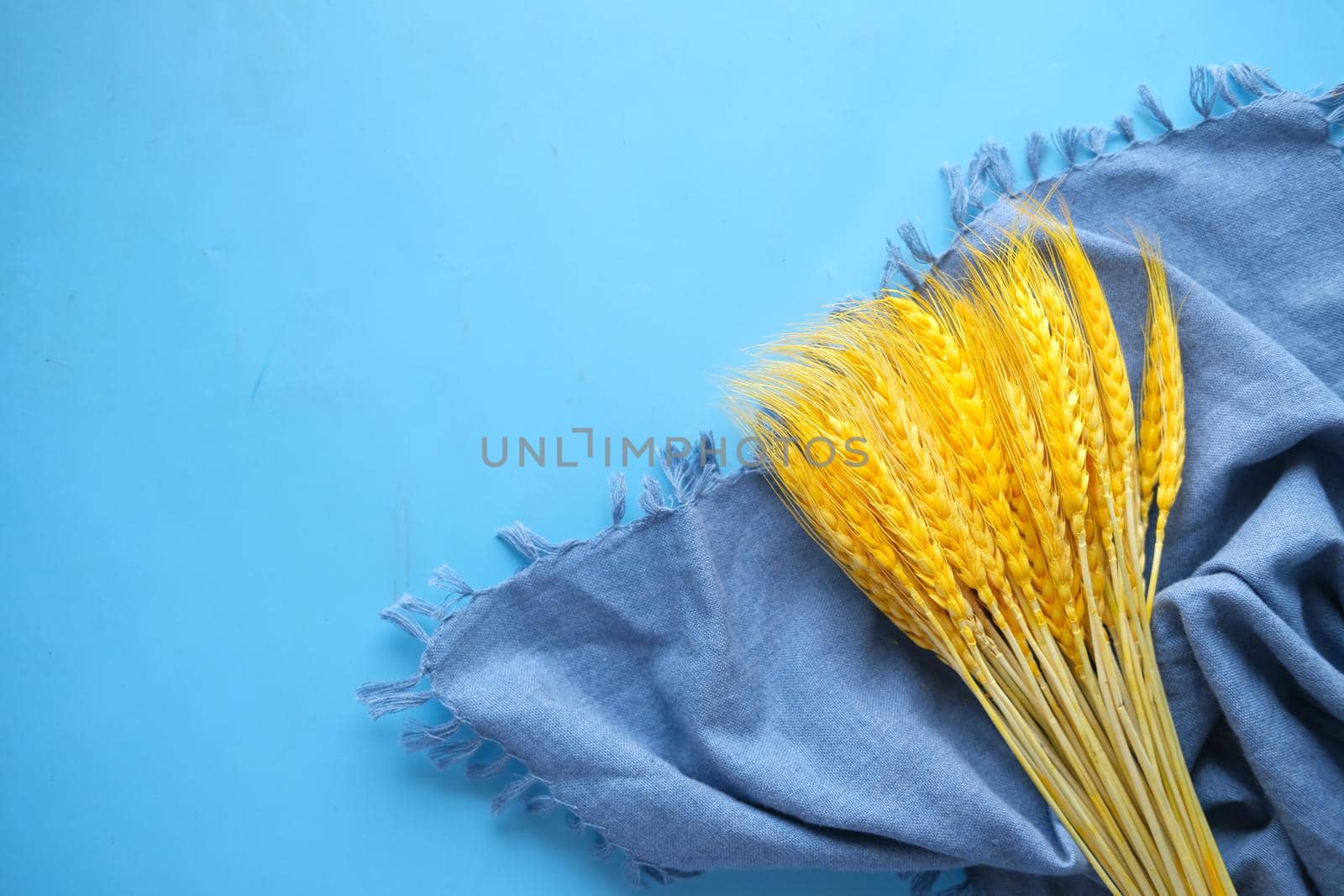 detail shot of wheat spikelets on table.