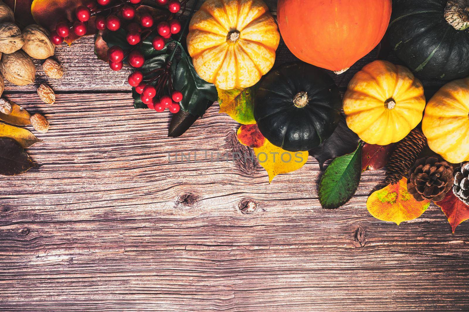 Happy Thanksgiving Day with pumpkin and nut on wooden table