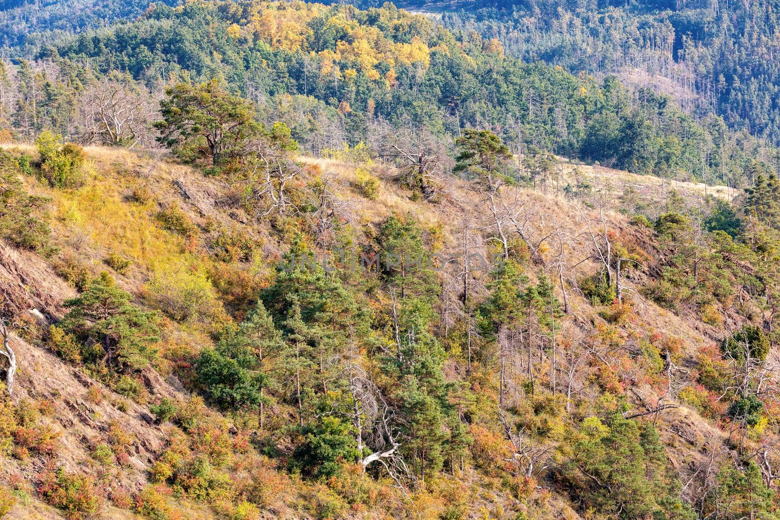 Landscape of National Nature Reserve Mohelen Snake Steppe, Educational trail, Trebic, Vysocina Czech Republic