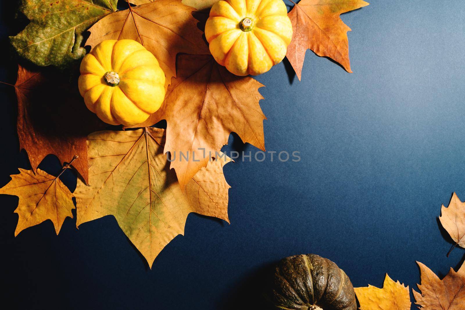 Happy Thanksgiving Day with maple leaves and pumpkin on blue background by psodaz