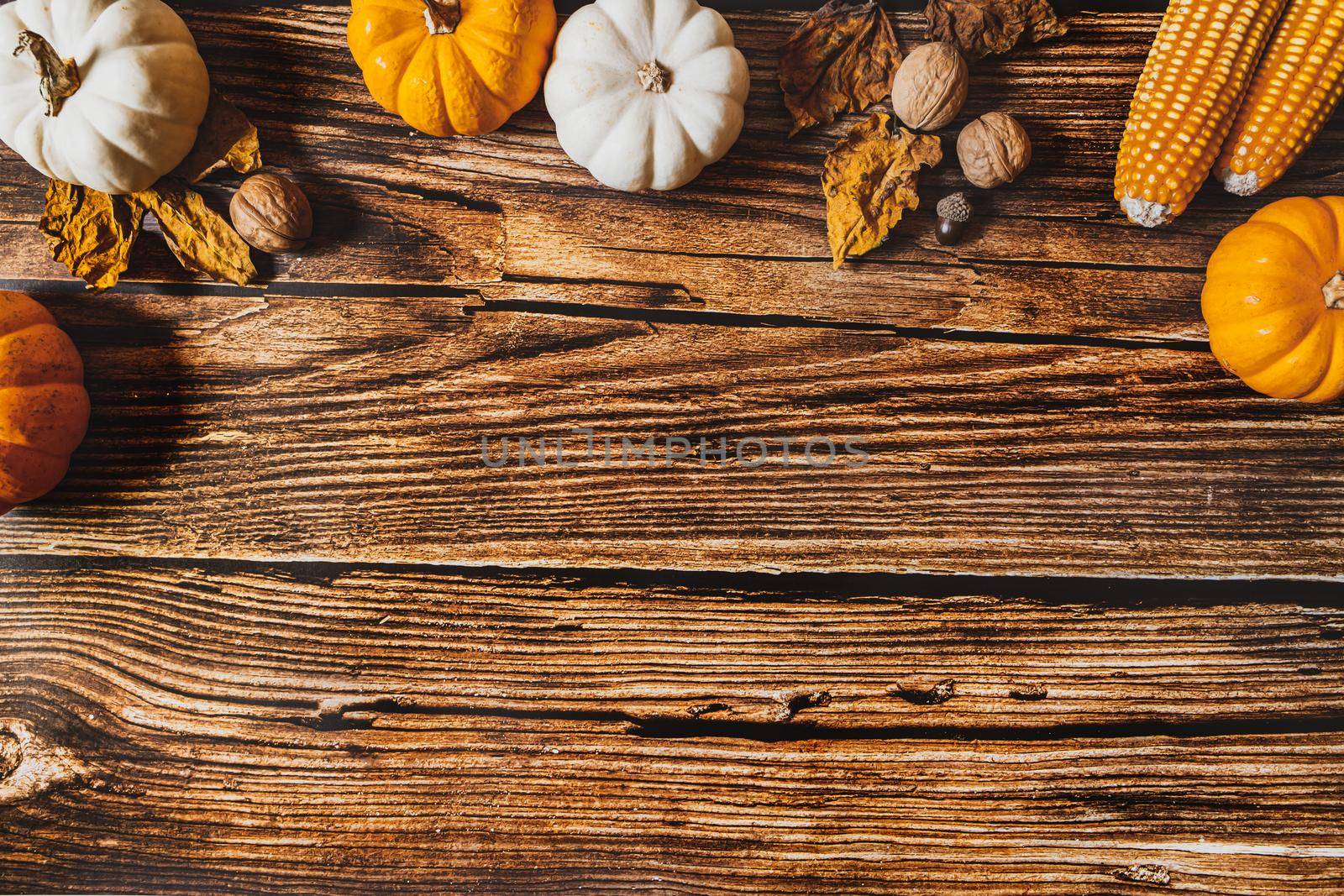 Happy Thanksgiving Day with pumpkin and nut on wooden table by psodaz