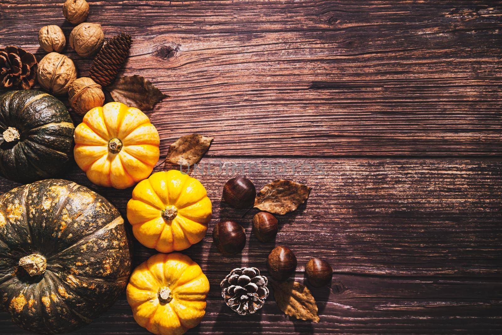 Happy Thanksgiving Day with pumpkin and nut on wooden table