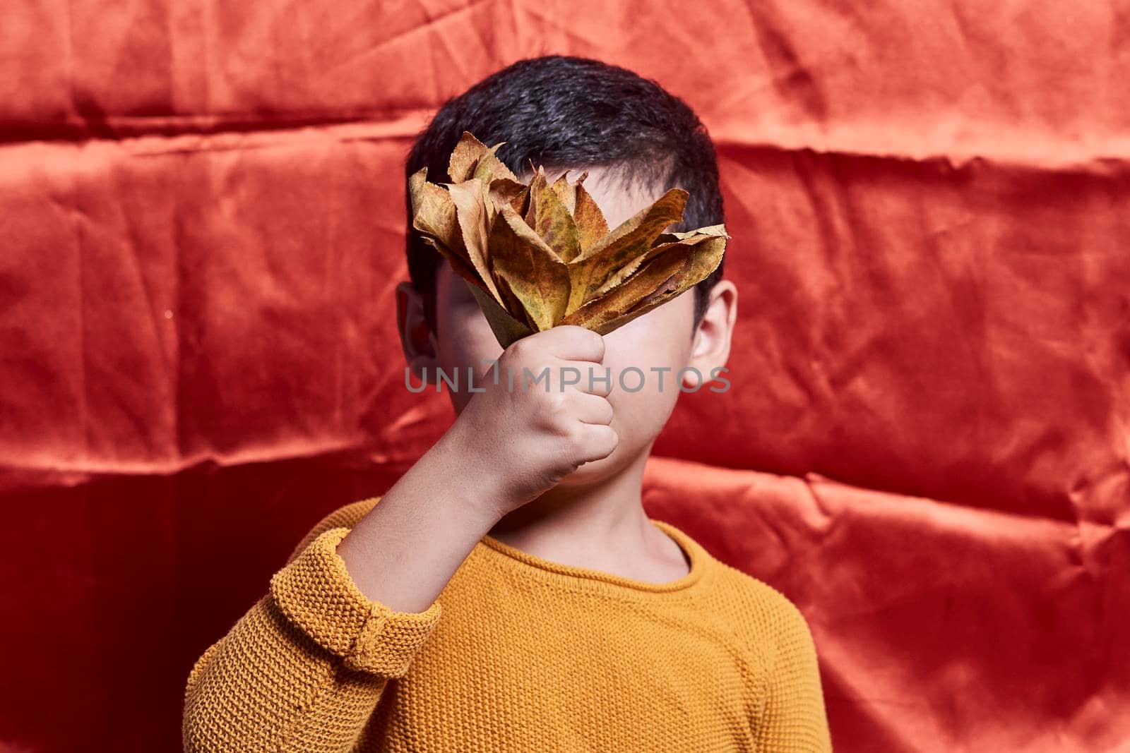 A little boy covering his face with a pile of fall leaves. A young boy holds autumn leaves