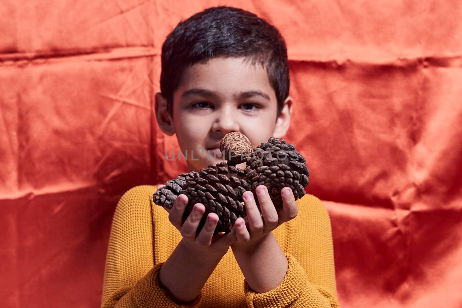 A young boy holding pine cones by golibtolibov