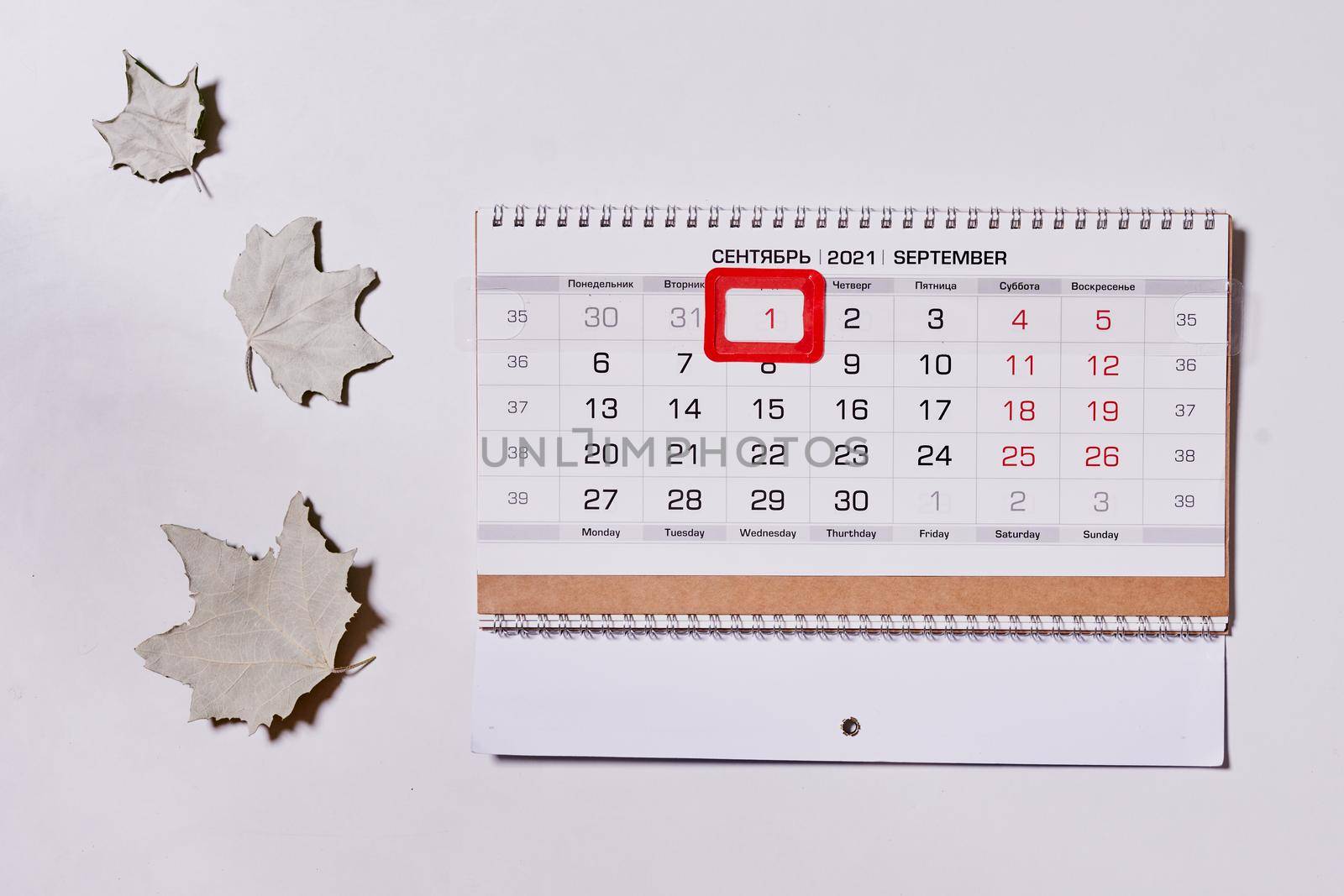 September 2021 monthly calendar and fall leaves on white background. Top view. Overhead view of Autumn month - September calendar