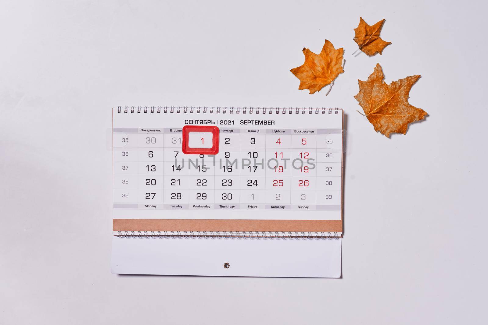 September 2021 monthly calendar and fall leaves on white background. Top view. Overhead view of Autumn month - September calendar