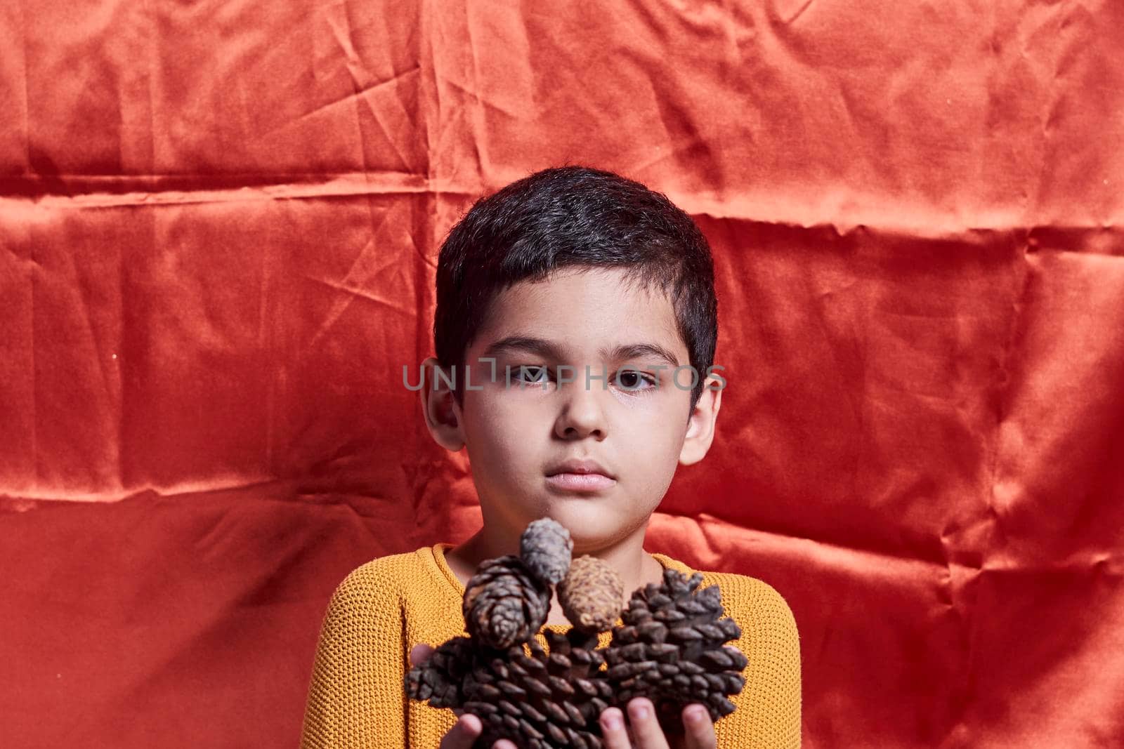 A young boy holding pine cones by golibtolibov