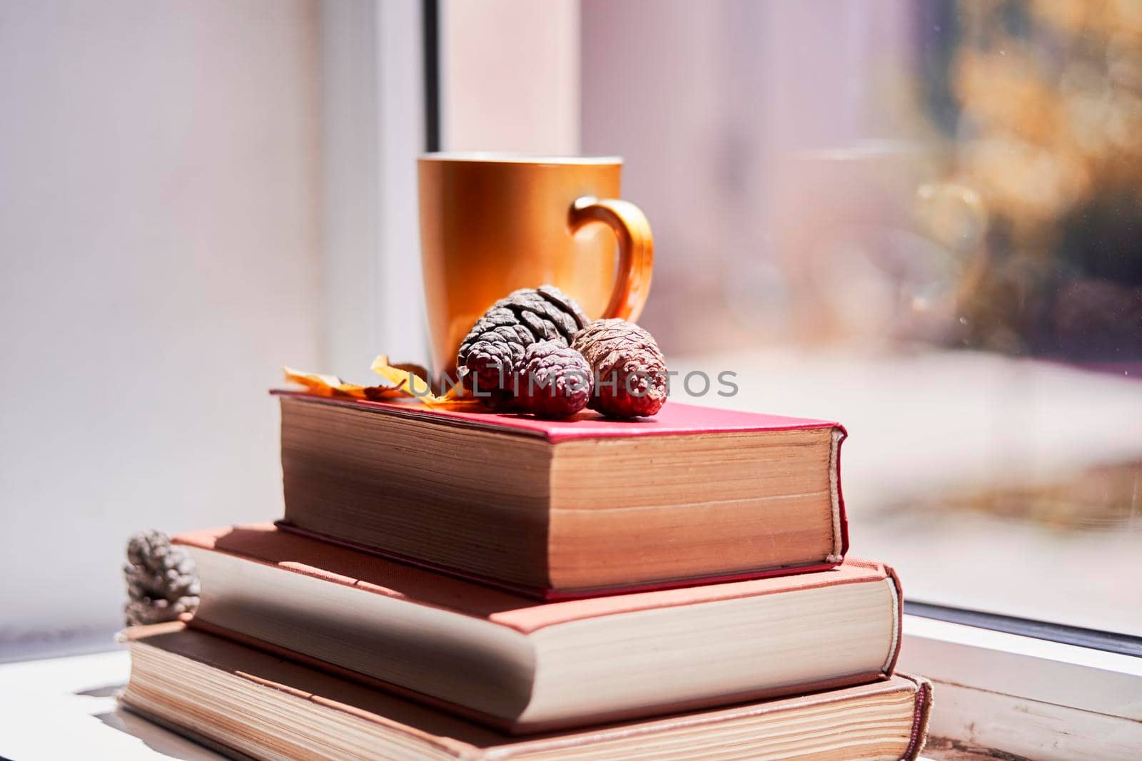 Bright autumn background with books and coffee mug by golibtolibov