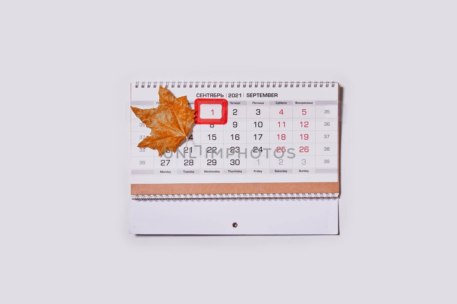 September 2021 monthly calendar and fall leaves by golibtolibov
