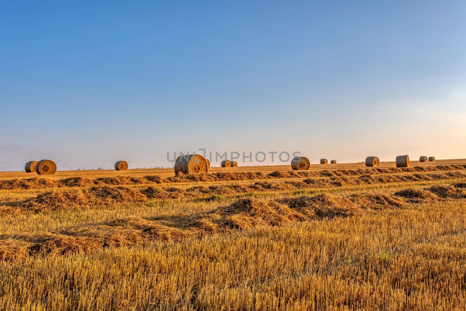 Straw bales stacked in a field at summer time in sunset by artush