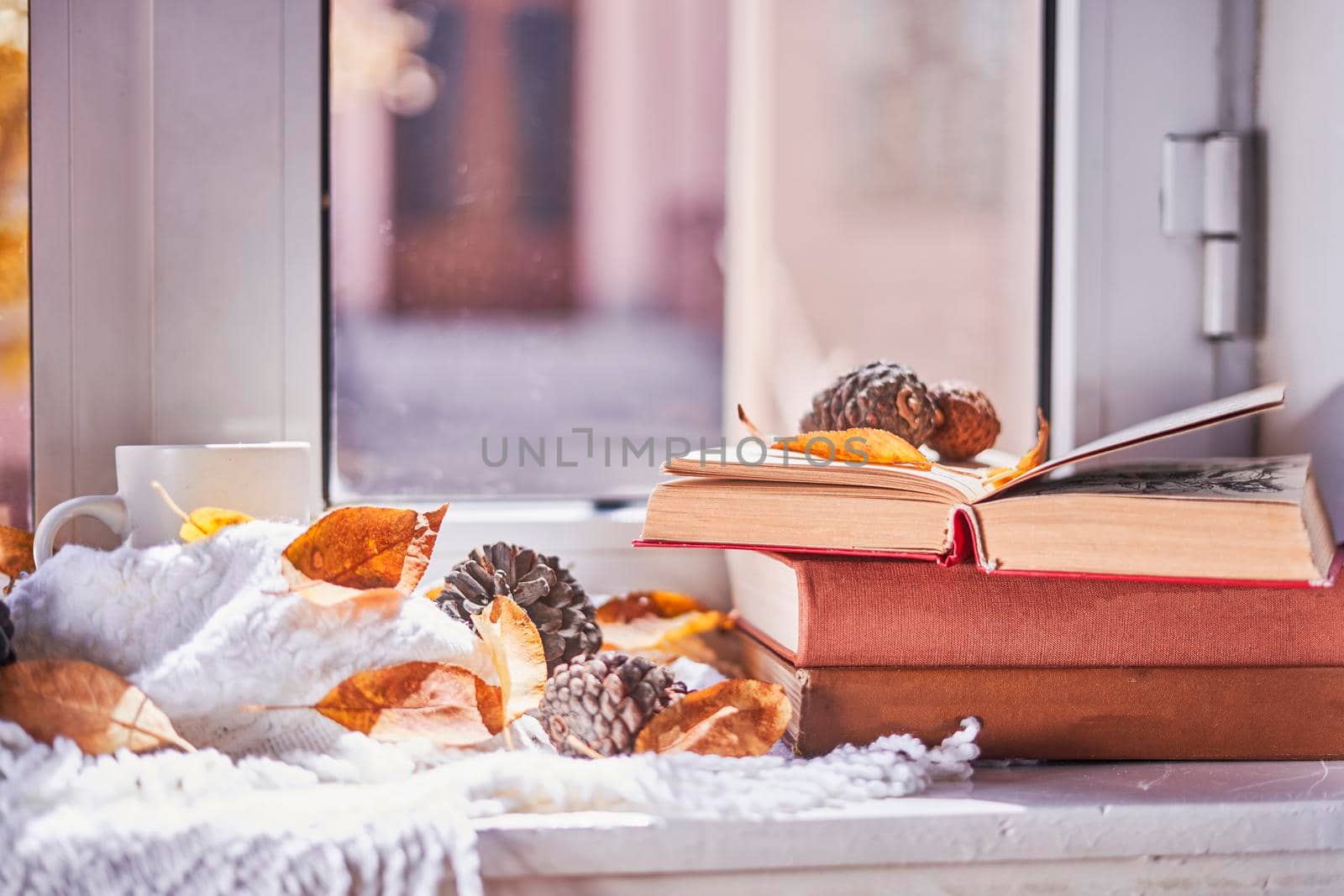 Bright autumn background with books and coffee mug by golibtolibov