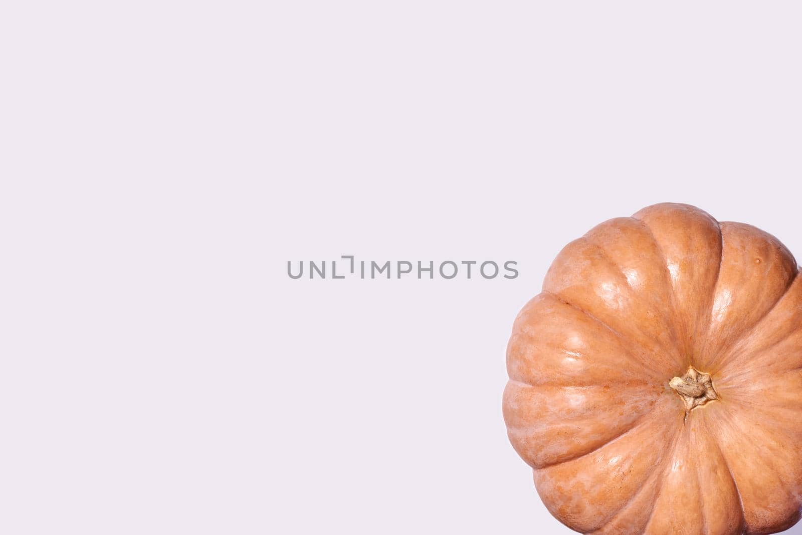 A big halloween pumpkin on white background with copy space. Top view