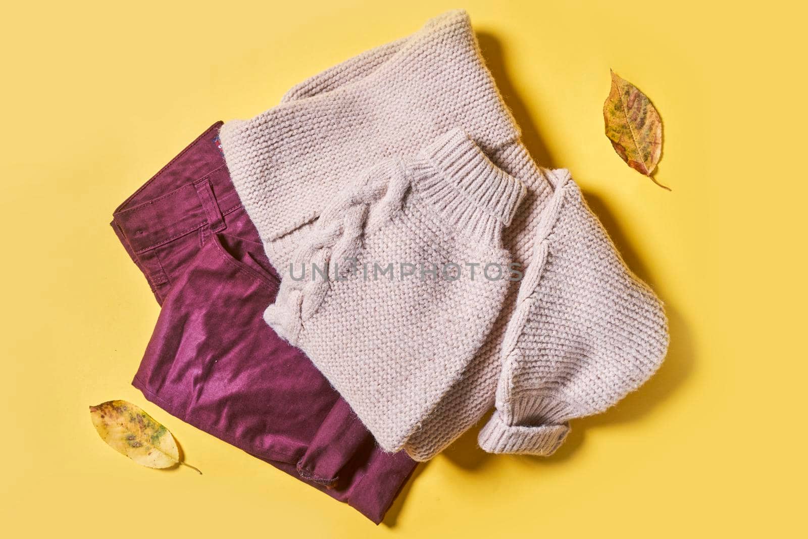 Female autumnal clothes set on colored background by golibtolibov