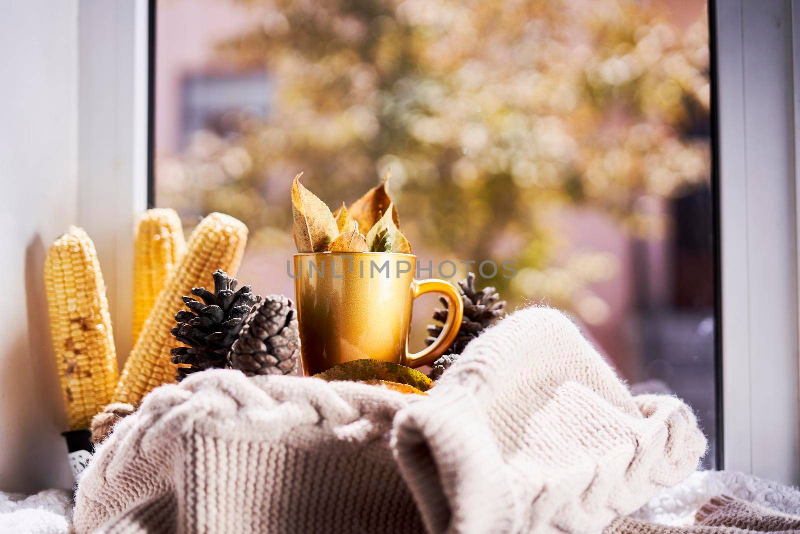 Corns, autumn leaves, pine cones and coffee cup on windowsill. Creative autumnal background near the windows in a sunny autumn day