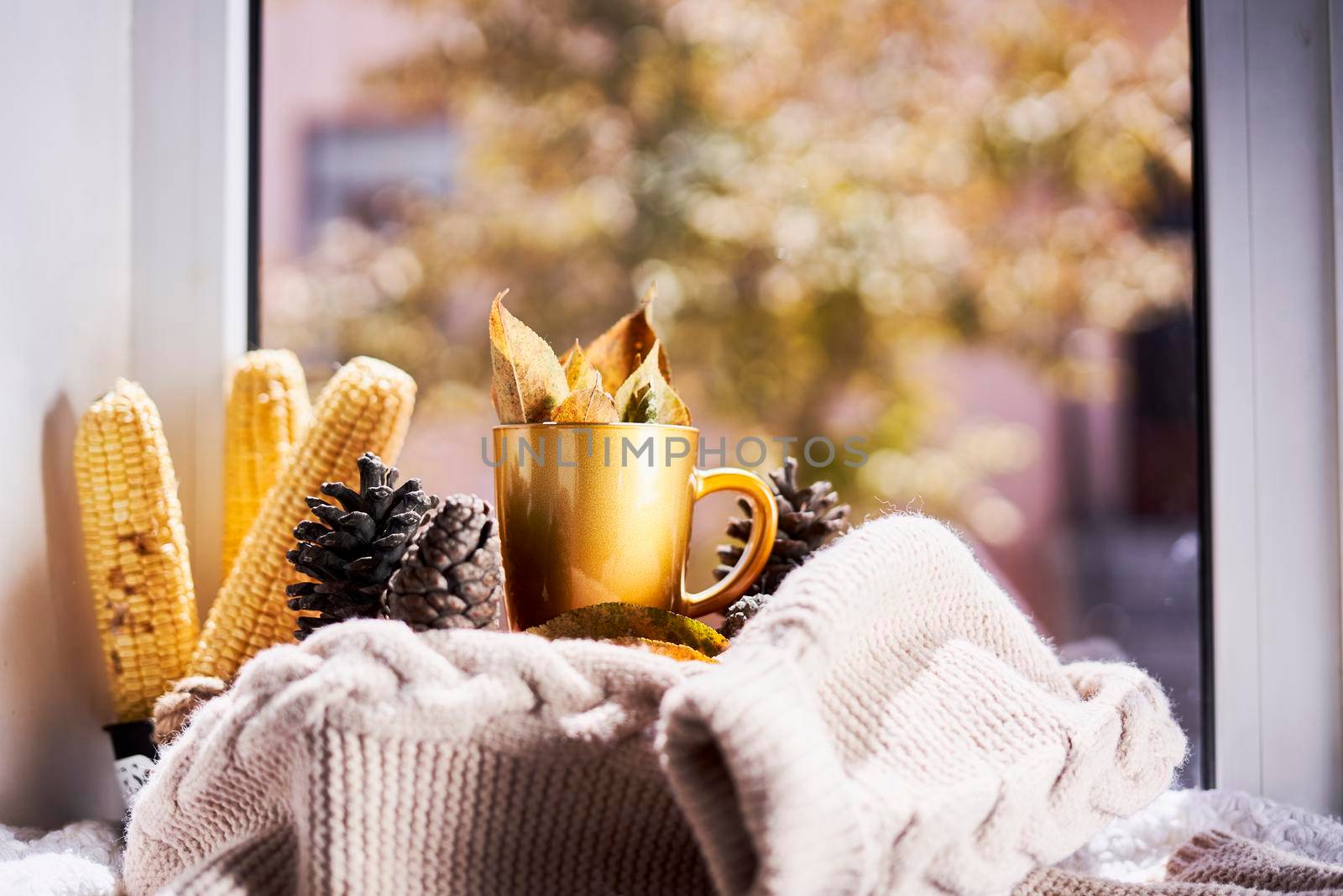 Corns, autumn leaves and coffee cup on windowsill by golibtolibov