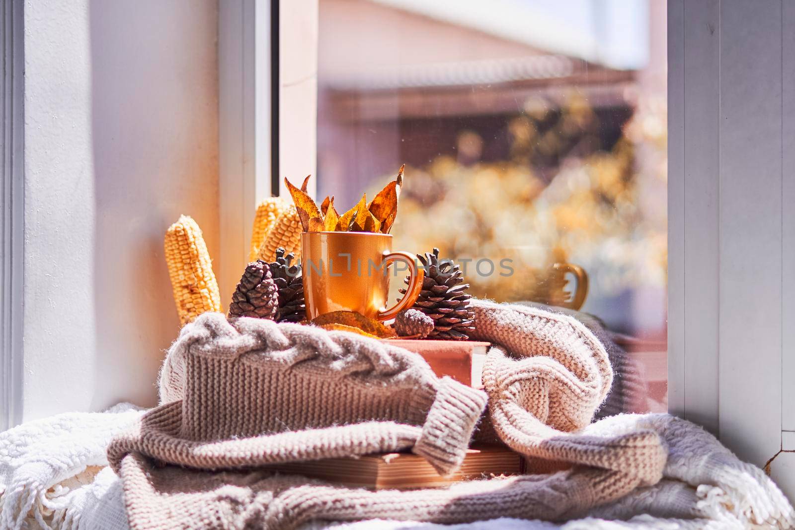 Corns, autumn leaves, pine cones and coffee cup on windowsill. Creative autumnal background near the windows in a sunny autumn day