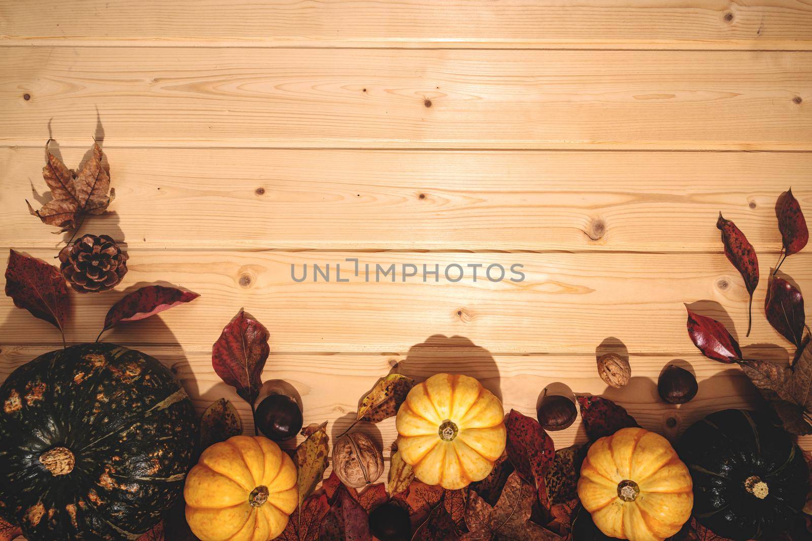 Happy Thanksgiving Day with pumpkin and nut on wooden background