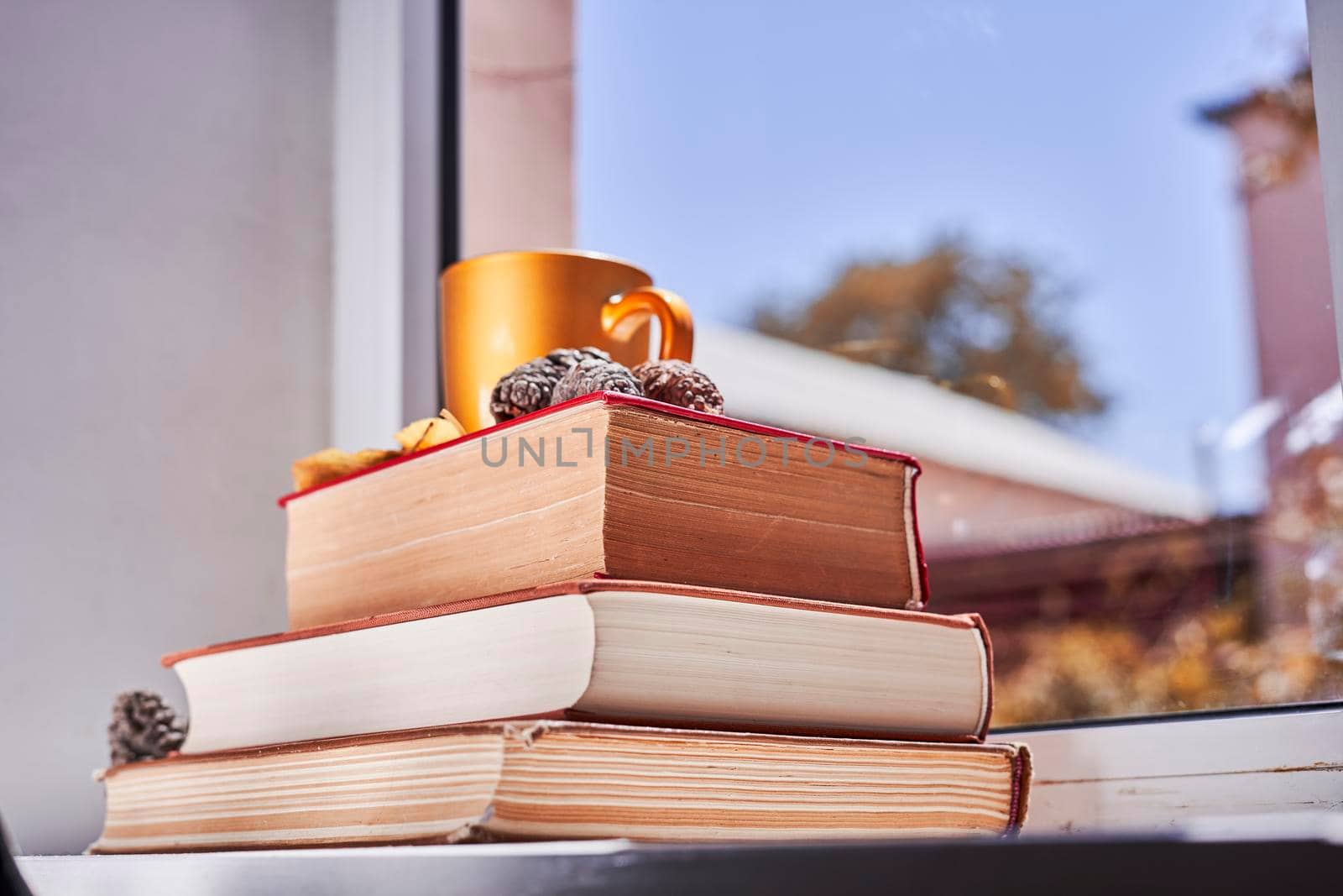 Bright autumn background with books and coffee mug. Reading a book in a sunny autumnal day on the windowsill. Spending cold weekends in cozy home