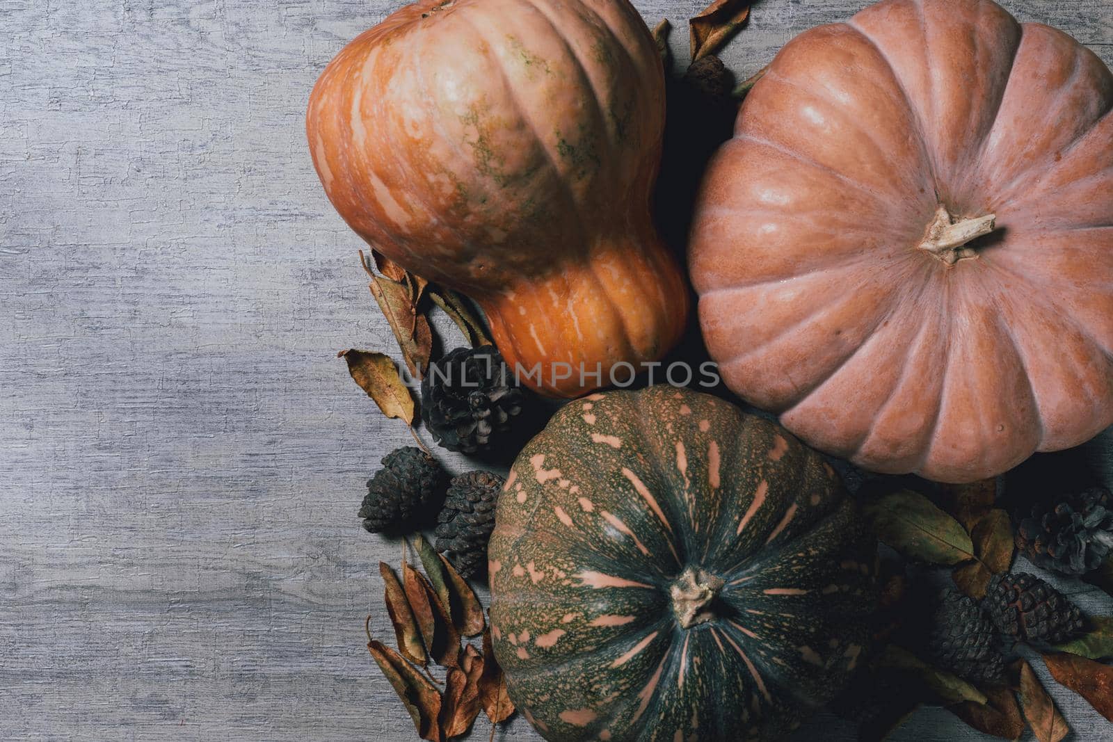 Autumnal background with harvest fall vegetables and autumnal leaves on wooden background
