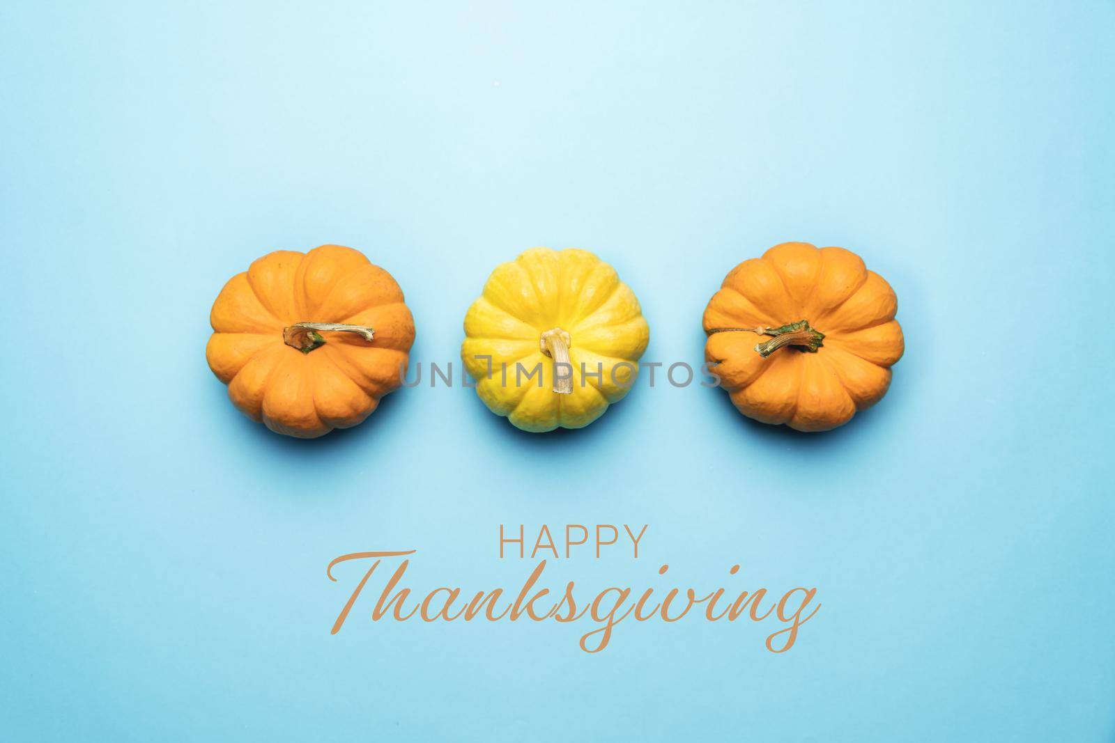 Happy Thanksgiving Day with pumpkin and nut on blue background by psodaz