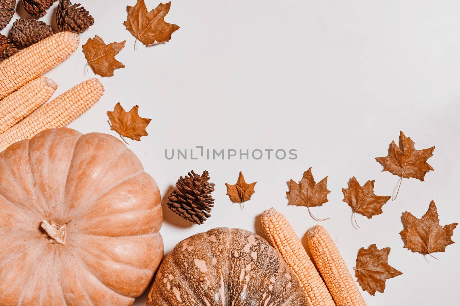 Autumnal background with harvest fall vegetables and autumnal leaves on white background