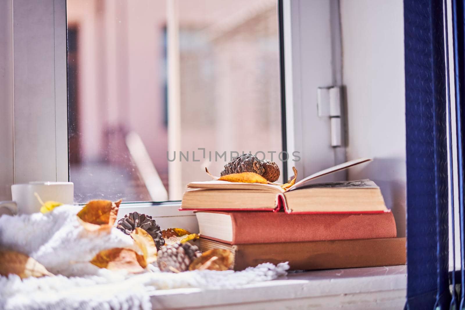 Bright autumn background with books and coffee mug. Reading a book in a sunny autumnal day on the windowsill. Spending cold weekends in cozy home