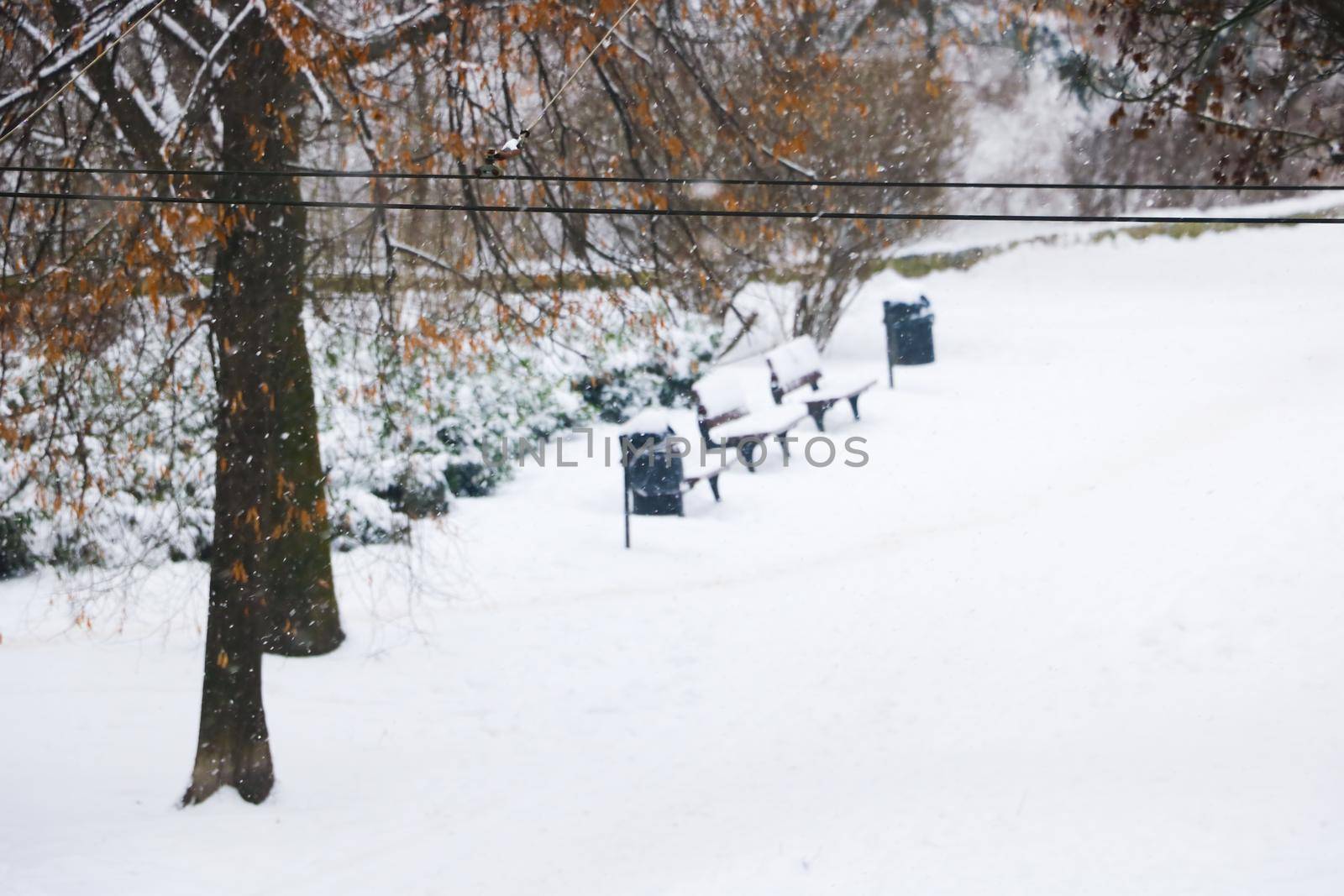 Out of focus, blurry background. View of the snow-covered street