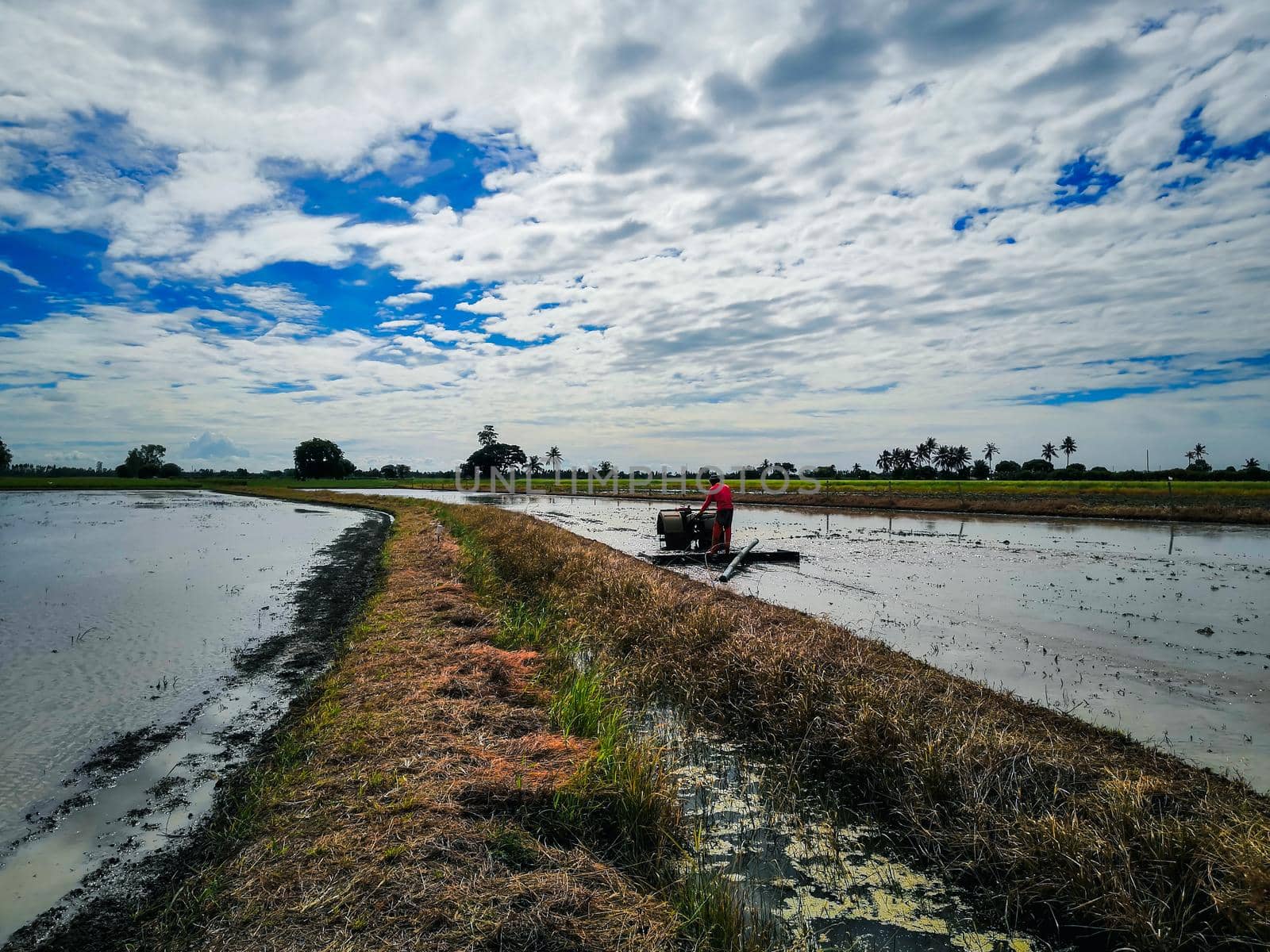 Landscape of nature rice field on rice paddy muddy with farming by tractor for shovel a soil is a agriculture in asia