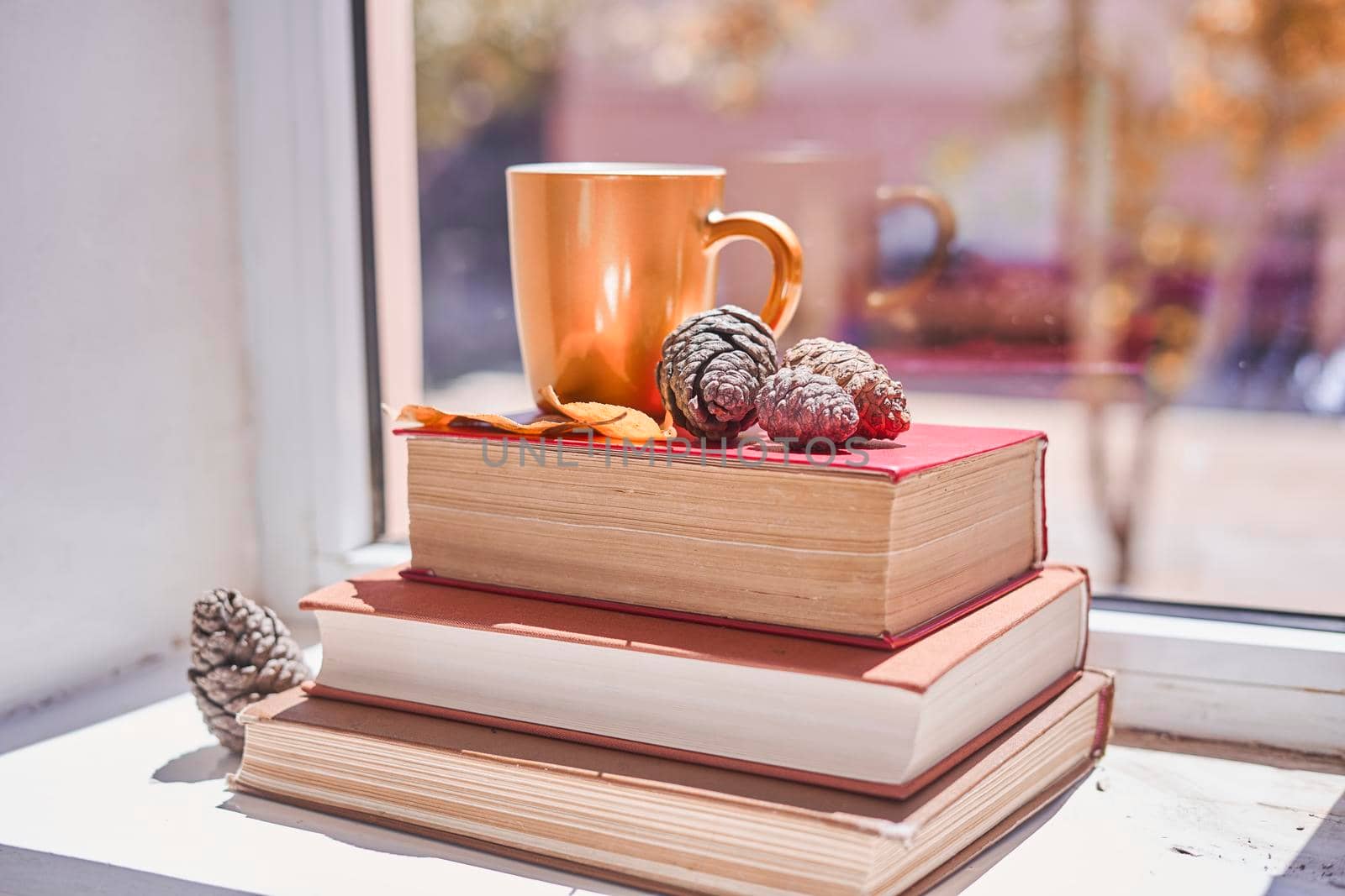 Bright autumn background with books and coffee mug. Reading a book in a sunny autumnal day on the windowsill. Spending cold weekends in cozy home